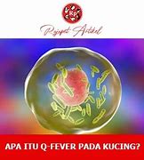 Fever Itu Artinya Apa